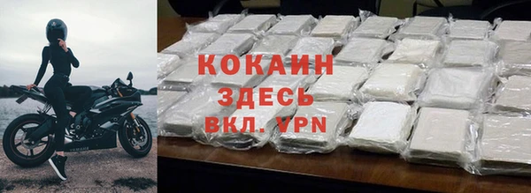 индика Алапаевск