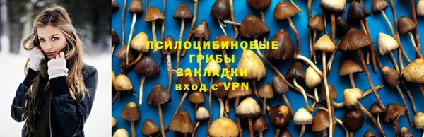 прущие крисы Мегион